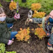 Gardening: Children from Waddington first Brownies
doing some planting onsite on Waddow Heights