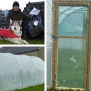 Wayne Dixon wants to help a Darwen primary school after their polytunnel was damaged