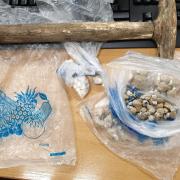 Drugs, along with a hammer, were seized on Saturday after numerous reports were made to police