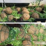The hanging baskets were destroyed and could not be sold