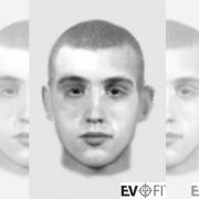 EvoFIT issued of sexual assault and indecent exposure suspect