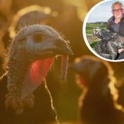 A turkey farmer in Briercliffe says a bird fly outbreak would be 