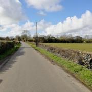 Bee Lane