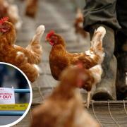 A bird flu outbreak has been confirmed in Upholland (Andrew Milligan/ Chris Radburn/PA)