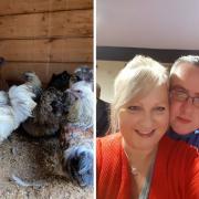 The Chuckery Farm in Clayton-le-Moors is launching ‘Chicken Chats’ once a week from 18 April.