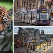Here are the best five attractions in Lancashire for you to visit this year according to Tripadvisor reviews. (Tripadvisor)