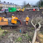 The trees in Darwen were unlawfully felled