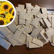 Langho: Village to be given hundreds of sunflowers seeds to support Ukraine