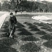 James Holdham laying the foundation for a new cycle track at Witton Park, Blackburn, in 1956