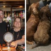 Welcoming landlords Iain and Joanne Taylor and dogs love The Black Bull