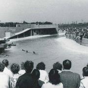 Blackpool Zoo celebrates its 50th anniversary this weekend