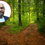Inset: Martin Furber provides a weekly column on mental health and well-being | Main: A woodland scene (Credit - Canva)
