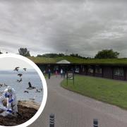 WWT Martin Mere Wetland Centre in Burscough. Inset is generic image of a team of rangers in protective gear as they clear away dead birds. (Photo: Google Maps/PA)