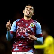 Burnley winger Anass Zaroury reacts to World Cup call-up