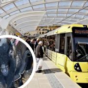 Runaway goat on Manchester metro tracks rescued by Bleakholt Animal Sanctuary