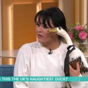 Charlotte Taylor-Dugdale with Ham on This Morning