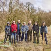 Volunteers have spent more than 400 hours planting 4,200 native UK trees including alder, hazel, hawthorn, holly, sessile oak, common oak, downy birch, wild cherry, and goat willow at a site in Samlesbury