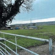 The field in Altham proposed for the dog walking area