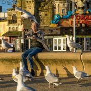People in Blackpool say the town is being plagued by hungry and angry seagulls SWNS/L.B Photography