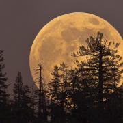 Stargazers are in for a treat as the second supermoon of the month appears this week