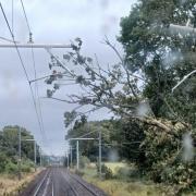 A fallen tree is blocking the railway line between Preston and Blackpool
