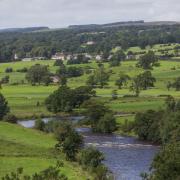 Ribble valley scenics. River Ribble winding through the green landscape.