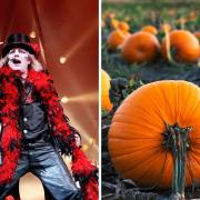 The Circus of Horrors, pumpkin picking and other Halloween events in Lancashire