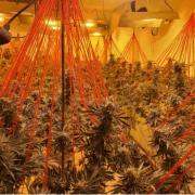 Police find cannabis farm worth £150K in Fleetwood