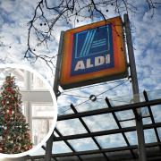 The Lancashire-based Christmas tree supplier for Aldi is gearing up for a busy festive period