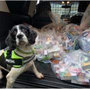 Sniffer dog Pippa with the seized goods