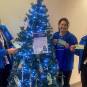 Denise Gee, Demi Houghton, and Rebecca Bartle at the Give a Gift Christmas tree in Royal Blackburn Teaching Hospital