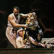 The Life of Pi (Picture: Johan Persson)