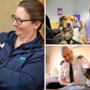 The RSPCA says it has rehomed 8,000 animals in Lancashire in the last decade
