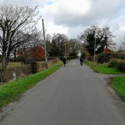 Dog walkers in Bee Lane, Penwortham