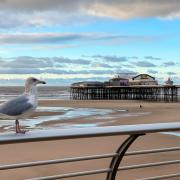 On average, seaside towns are drier than the rest of the UK.