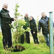 TREE-MENDOUS From left, Alan Butterfield and his father James begin planting at Wheatland Heights with Caroline Thorpe and Simon Smith, of Thorpe Trees.