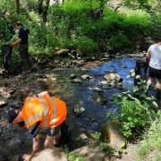 Volunteers helping to clean up Tinker Brook at Oswaldtwistle in 2021