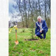 Ribble Valley Mayor Mark Hindle plants the first RVBC50 golden groves at Edisford in Clitheroe and John Smith’s Playing Fields in Longridge