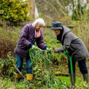 One of many activities and sources of support offered under social prescribing (image: Pexels)