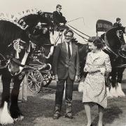 Thwaites shire horses meet the Queen, 1977