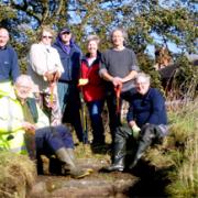 GOOD WORK Some of the residents who have been working on the land at Brownhill Plantation