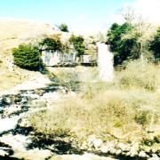 Waterfalls at Ingleton are a haven for birds