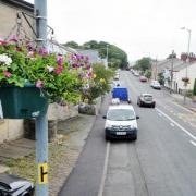 The floral displays in Stanhill