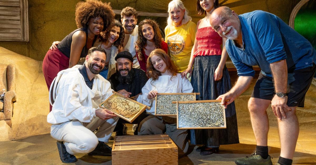 Live bee hive brought to Blackpool Grand Theatre visit