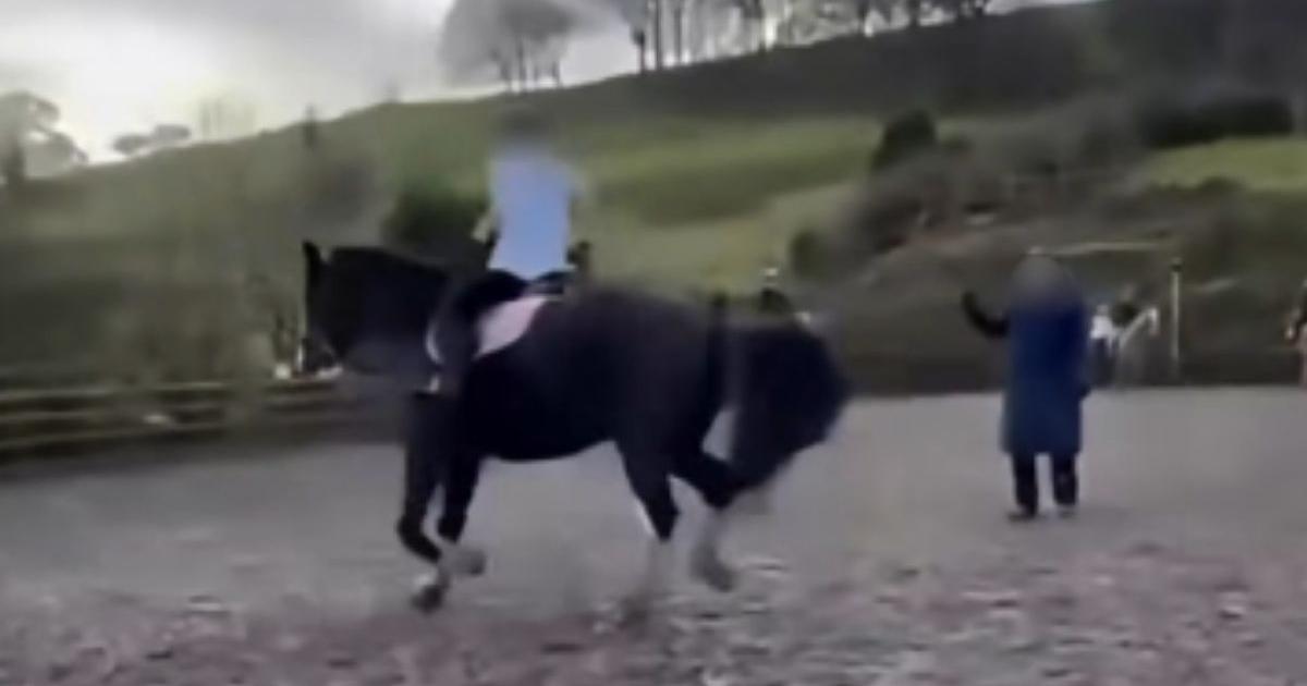 Council finds no animal welfare concerns at riding centre after 'upsetting' videos