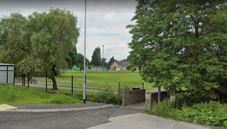 All we know so far after 'lots of dead fish' spotted in park's beck