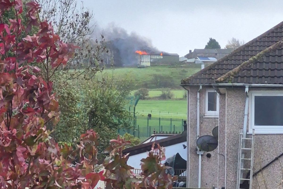 Livestock evacuated from barn after five fire engines called to blaze