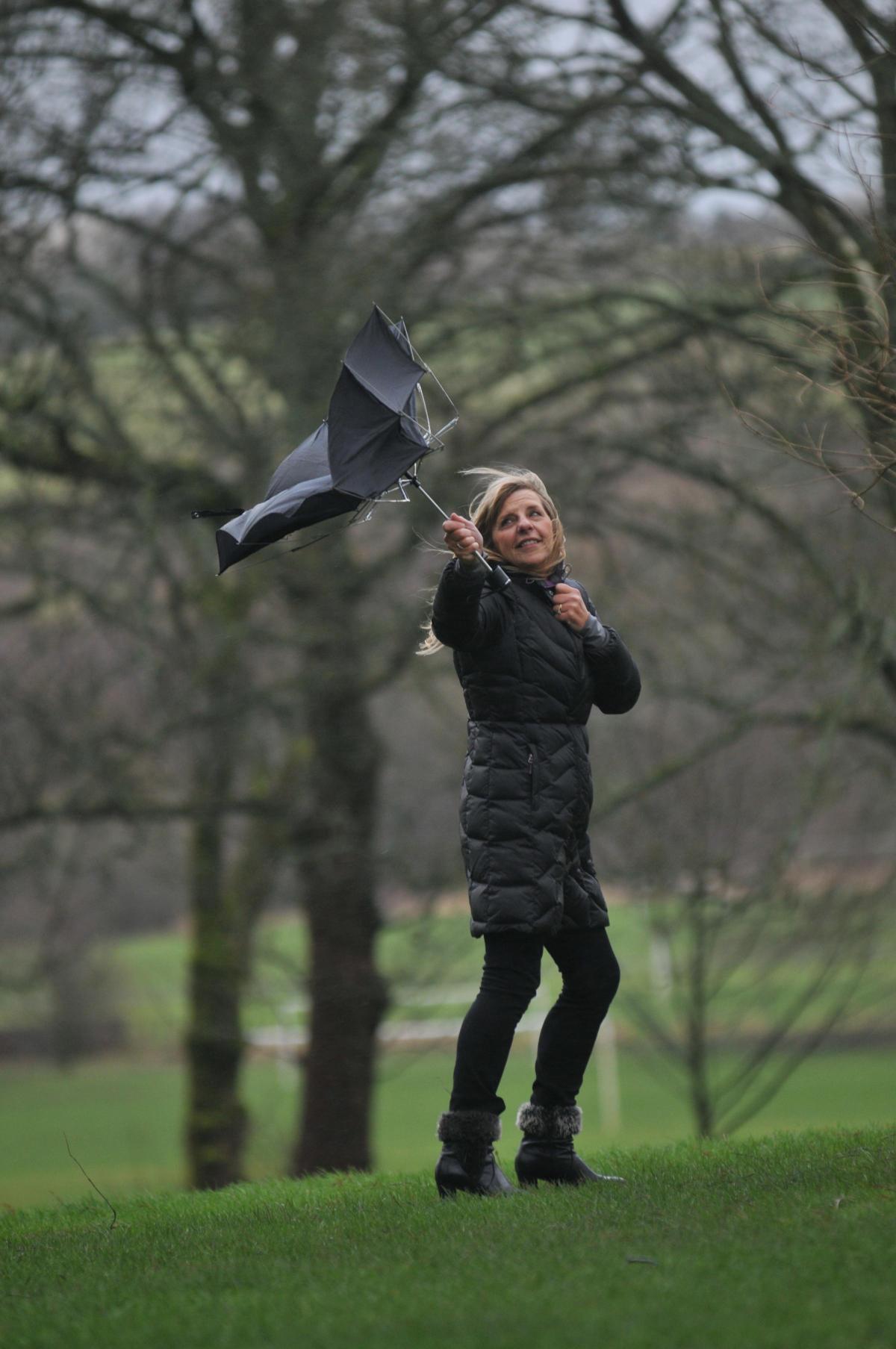 Karen Mendoros from Foulridge...its not just a walk in the park in this weather at Towneley Park, Burnley.