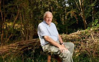 David Attenborough believes parents should give children more opportunities to observe and understand nature