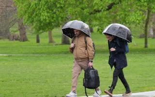Weather warning: Hour-by-hour forecast as yellow weather warning for wind issued